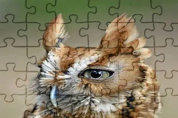 . jigsaw puzzle