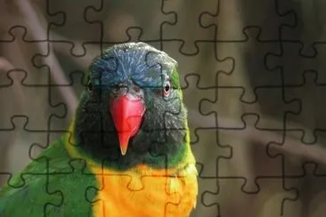. jigsaw puzzle