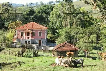 campo jigsaw puzzle