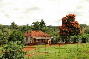 campo jigsaw puzzle