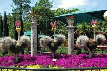 jardin