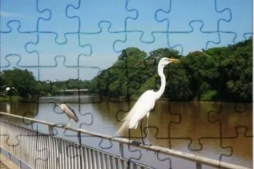 A Garça jigsaw puzzle