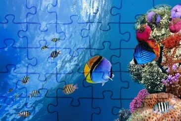 ocean jigsaw puzzle