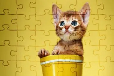 august24 jigsaw puzzle