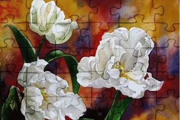 White Tulips