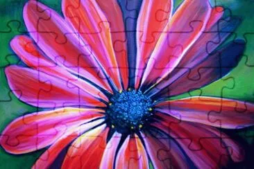 Daisy Flower