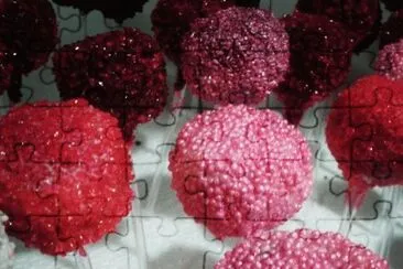 popcake