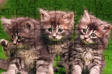 gatets jigsaw puzzle