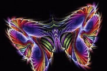 papillon jigsaw puzzle