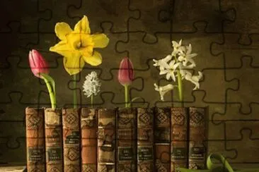 libri jigsaw puzzle