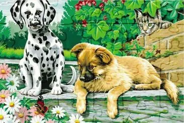 p1 jigsaw puzzle