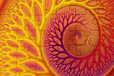 Color Pattern jigsaw puzzle