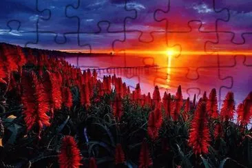 lindo jigsaw puzzle