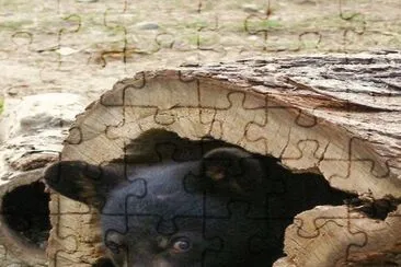. jigsaw puzzle