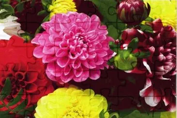 Dalies jigsaw puzzle