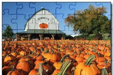 Pumpkins at Downey 's farm market  Ontario jigsaw puzzle