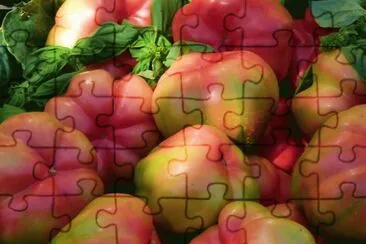 tomates