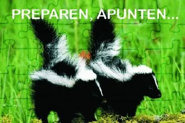 PREPAREN, APUNTEN... jigsaw puzzle