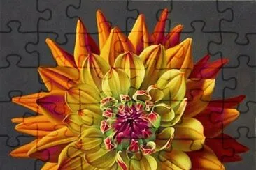Confetty Dahlia jigsaw puzzle