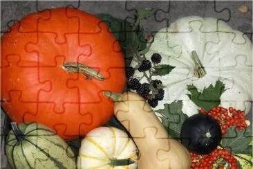 Pumpkins jigsaw puzzle