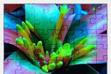 Exotic Flower jigsaw puzzle