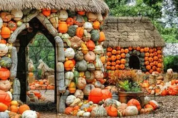 Many Pumpkins jigsaw puzzle
