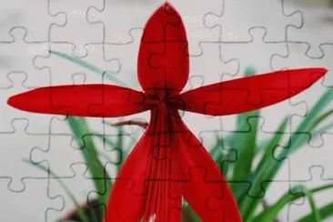 fleur jigsaw puzzle
