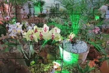 orquÃ­deas