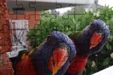 - maritaca,(a), jigsaw puzzle