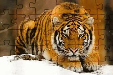 - tigue,(Ã§) jigsaw puzzle