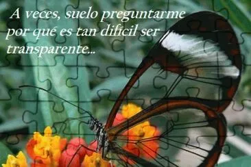 Mariposa  transparente jigsaw puzzle