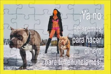 NOS NEGAMOS A PELEAR PARA TÃ. jigsaw puzzle