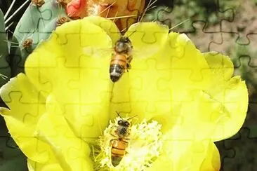 9 jigsaw puzzle