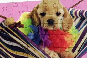 gosset jigsaw puzzle