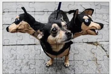 put on this dress, I have not been bullied other dogs jigsaw puzzle