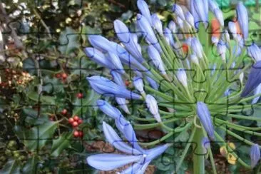 Flor jigsaw puzzle