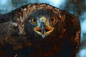 . jigsaw puzzle