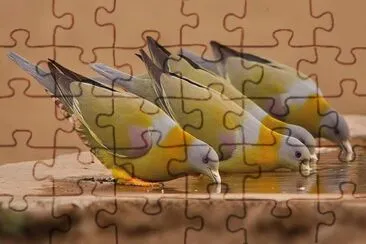 . jigsaw puzzle