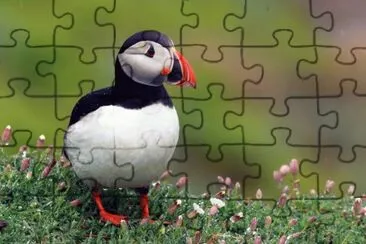 . jigsaw puzzle
