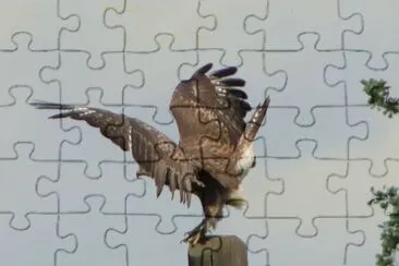 kanja1 jigsaw puzzle