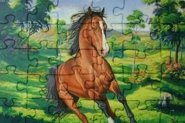 cavalo jigsaw puzzle