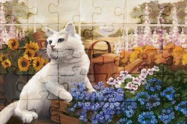gato