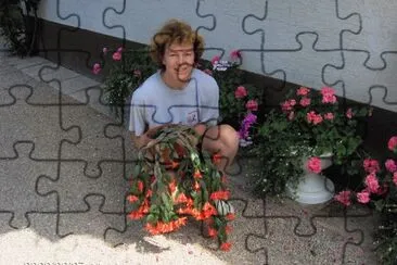 BoÅ¾iÄni kaktus