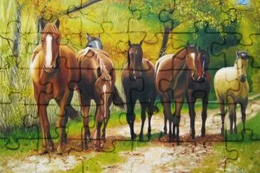 cavalos jigsaw puzzle