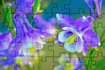 fleurs jigsaw puzzle
