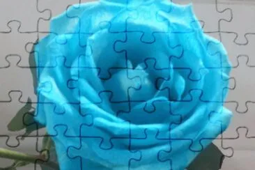 27 jigsaw puzzle