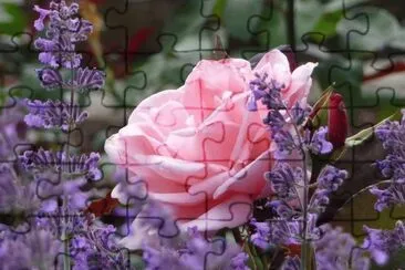 123 jigsaw puzzle