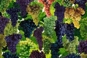 134 jigsaw puzzle