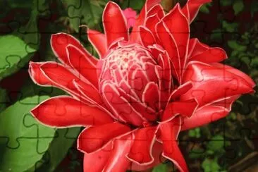 141 jigsaw puzzle