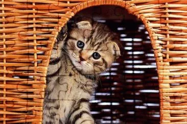 gatet